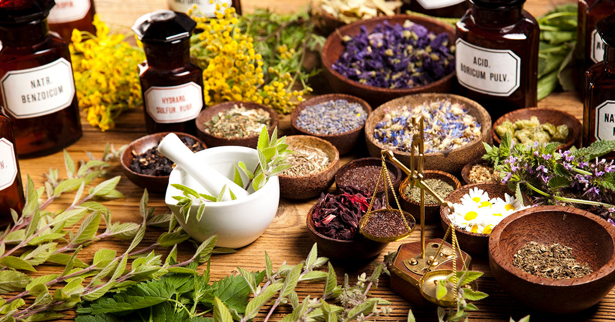 The Lost Book of Herbal Remedies: A Review of an Enriching Collection