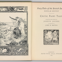 Celtic Fariy Tales Book