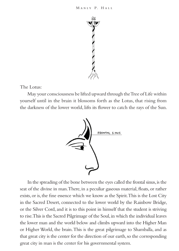 The Initiates of the Flame by Manly P. Hall