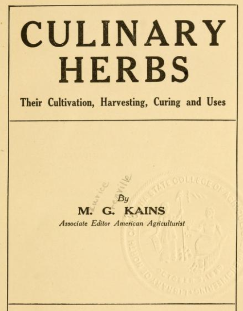 Culinary Herbs