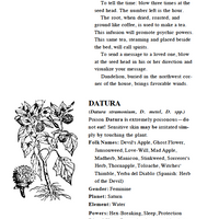 42 Ancient Medicinal Plant Remedies