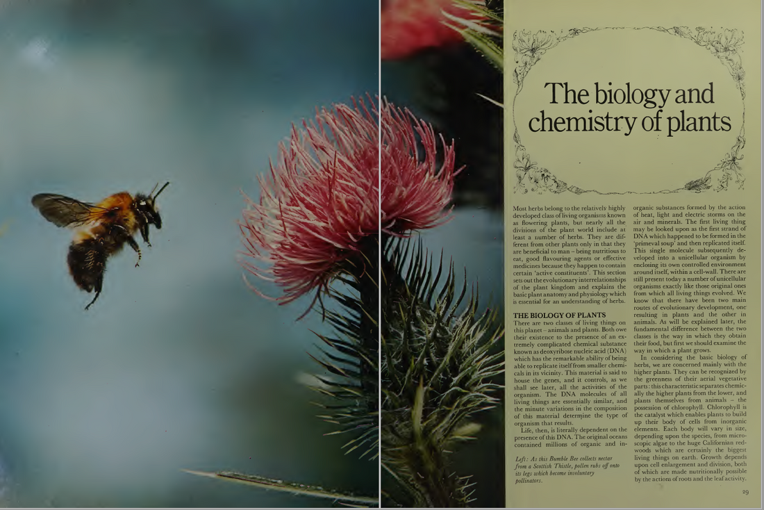 The Biology and Chemistry of Plants