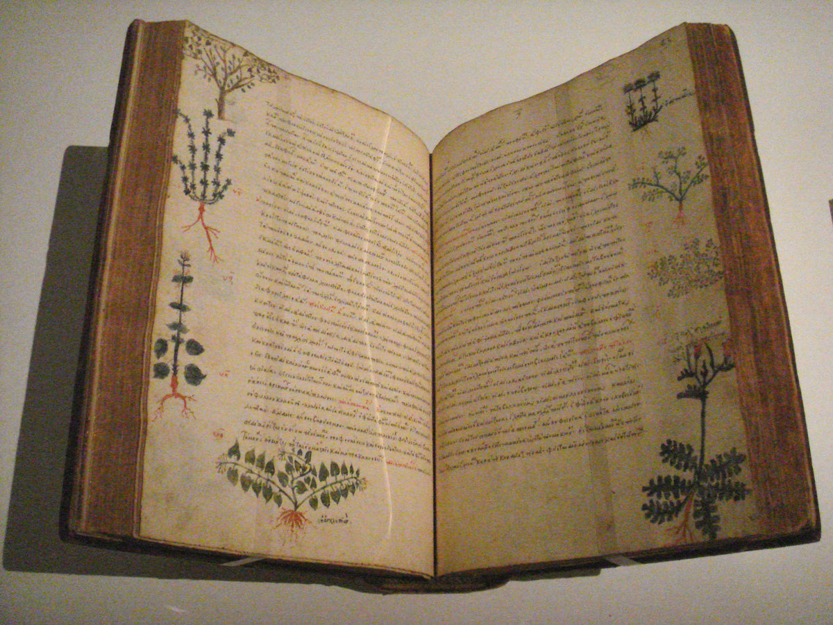 Books About Natural Remedies: Unlocking the Healing Power of Plants