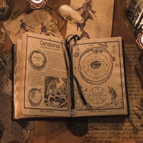 Looking for a Witchy Book? The Best Books About Witches