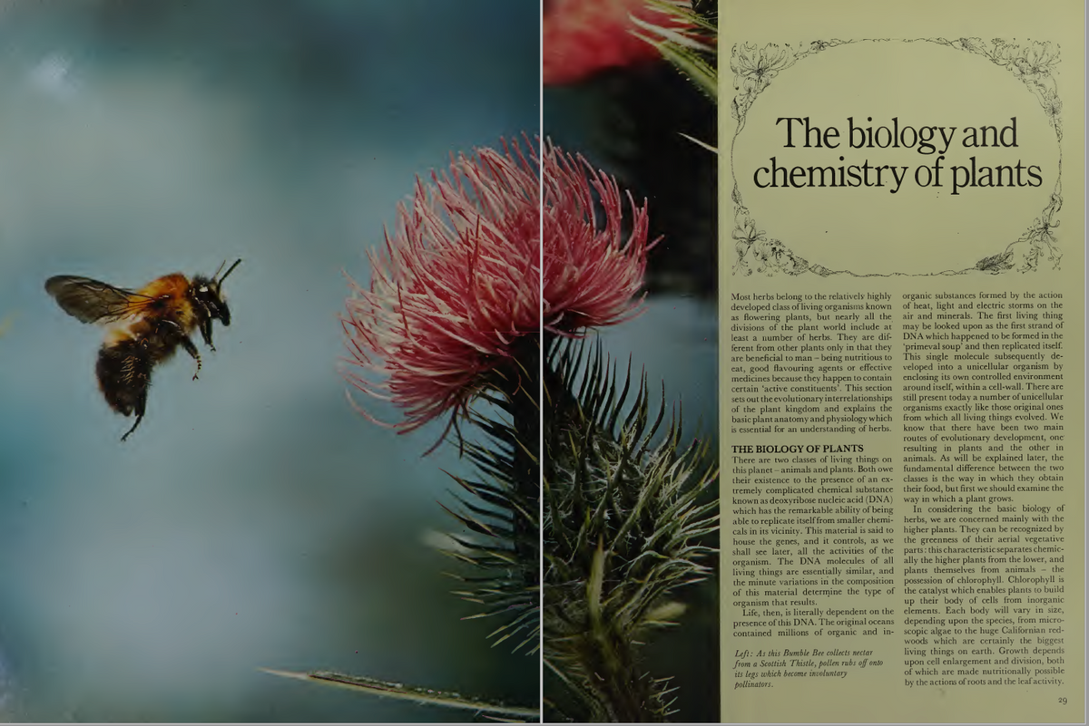 The Biology and Chemistry of Plants